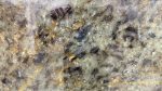 Labrodorite Blue - Image 2