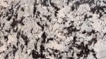 Delicatus - Image 2